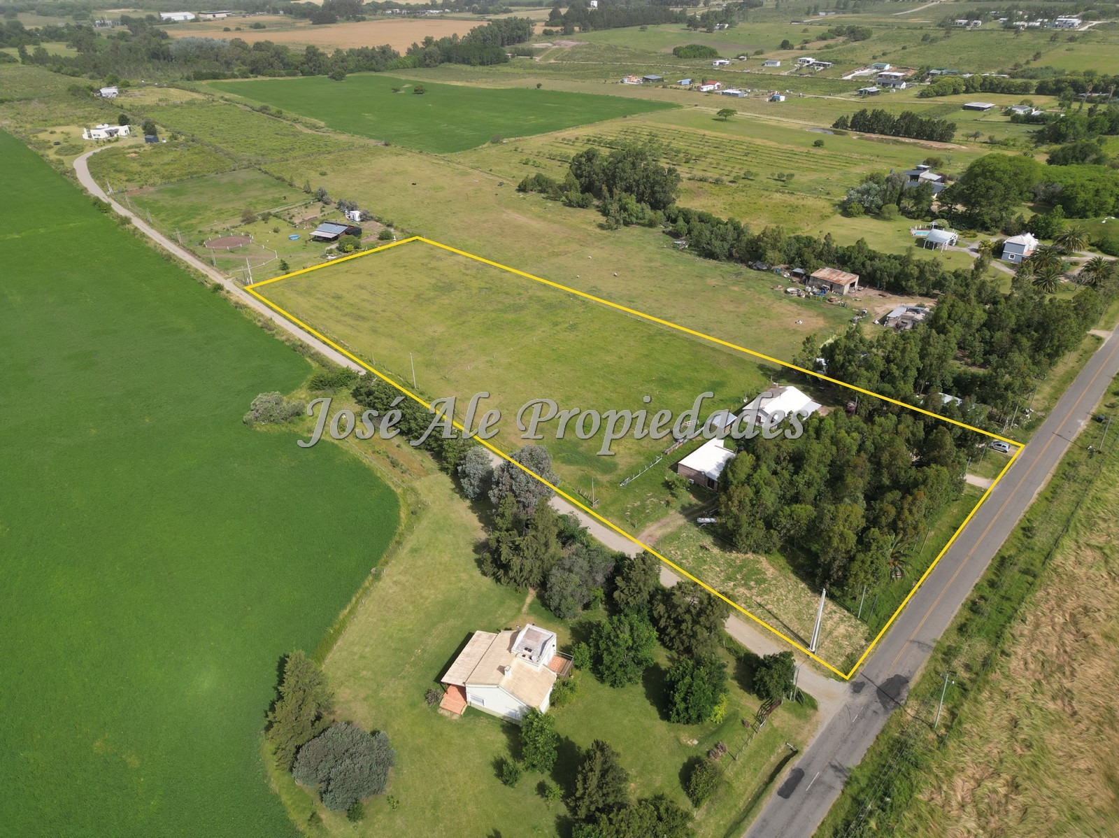 2631_WhatsApp Image 2026-01-19 at 14.11.48 (1).jpeg